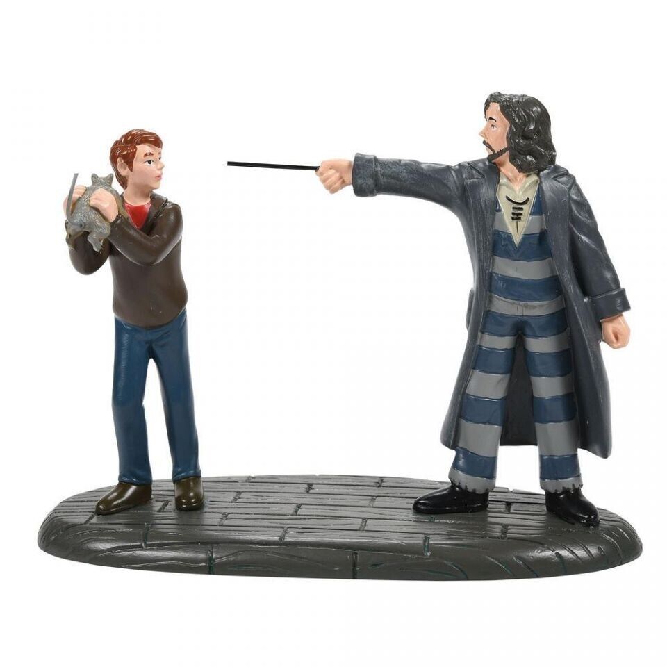 Dept 56 COME OUT AND PLAY, PETER Harry Potter Village 6007756 BRAND NEW 2022